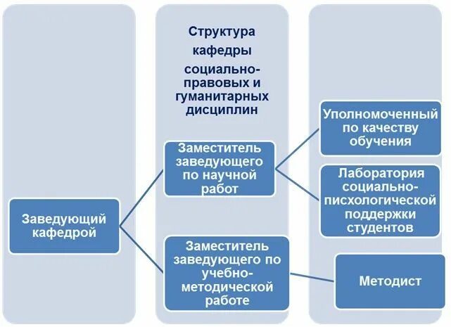 Социально гуманитарный проект