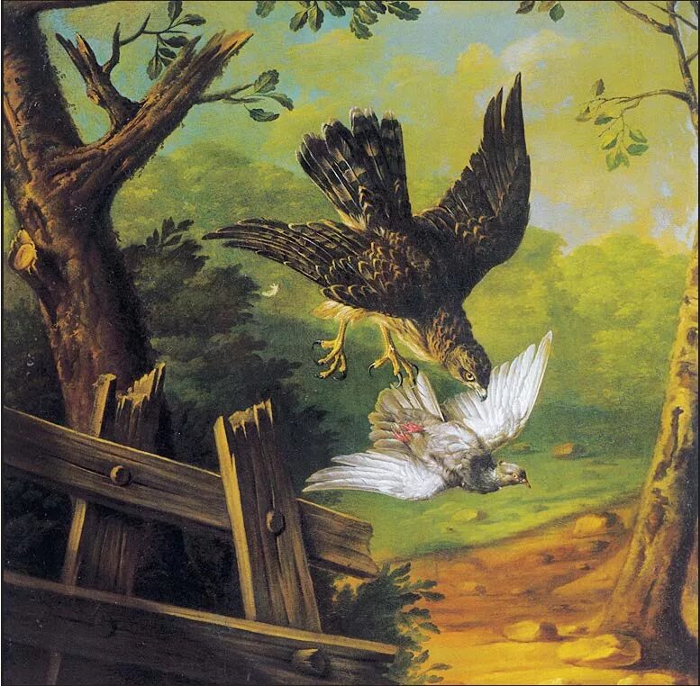 Индийская сказка птиц. Басня Орел и Голубка. Гроот голуби. Орел и голубь. Сокол картина.