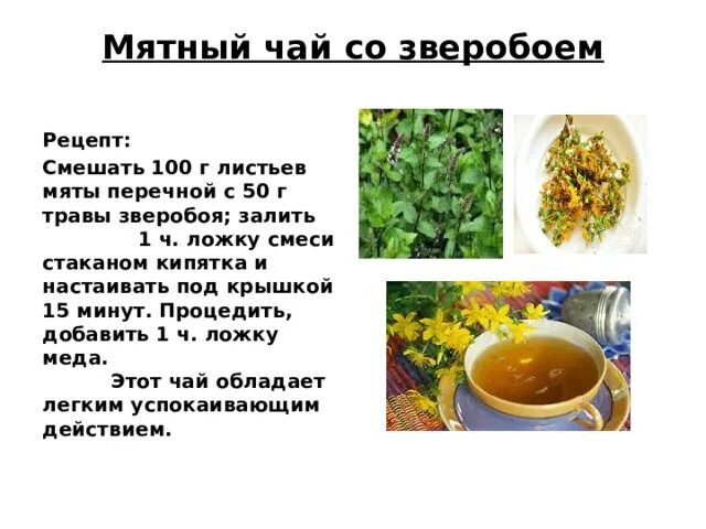 Можно пить чай со зверобоем. Чай со зверобоем. зверобой чай рецепт. чай из зверобоя. травяной чай с зверобоем.