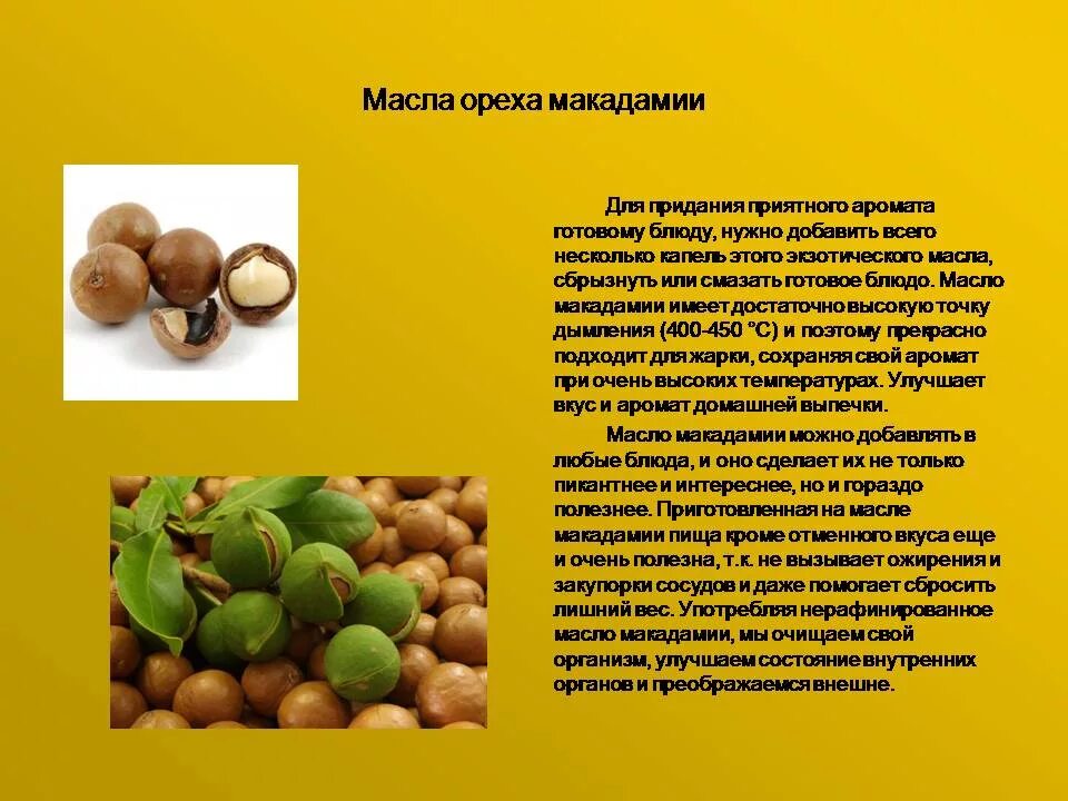 Орех макадамия польза и вред. Макадамия орех полезные. Чем полезен орех макадамия. Орехи макадамии полезные. Макадамия витамины.