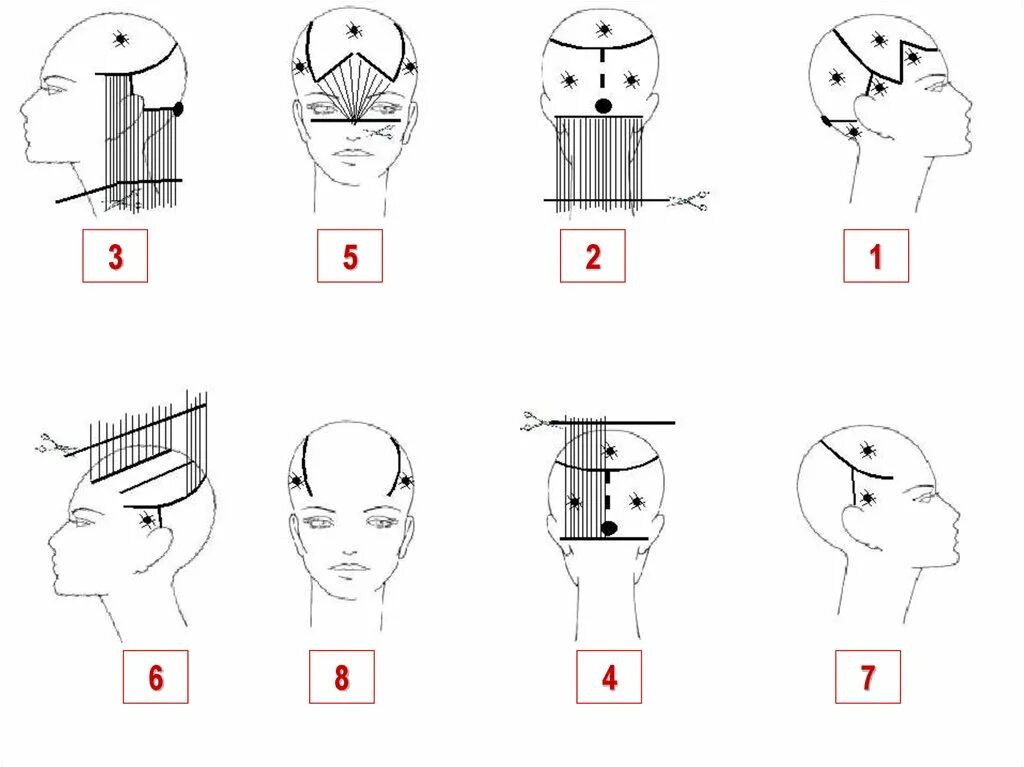 Схема подстричь. Схемы стрижек. Схема стрижки квадрат. Стрижка итальянка схема. Стрижка Боб мужская схема.