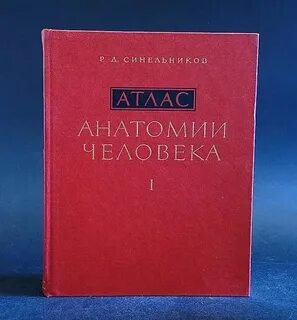 Атлас 3 19