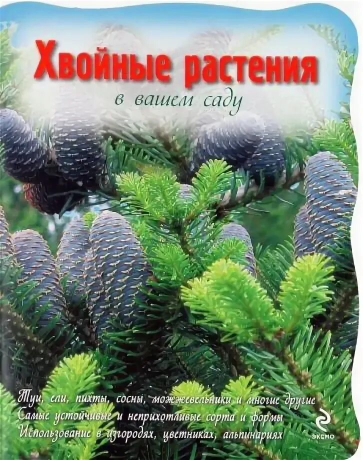 Книги хвойных