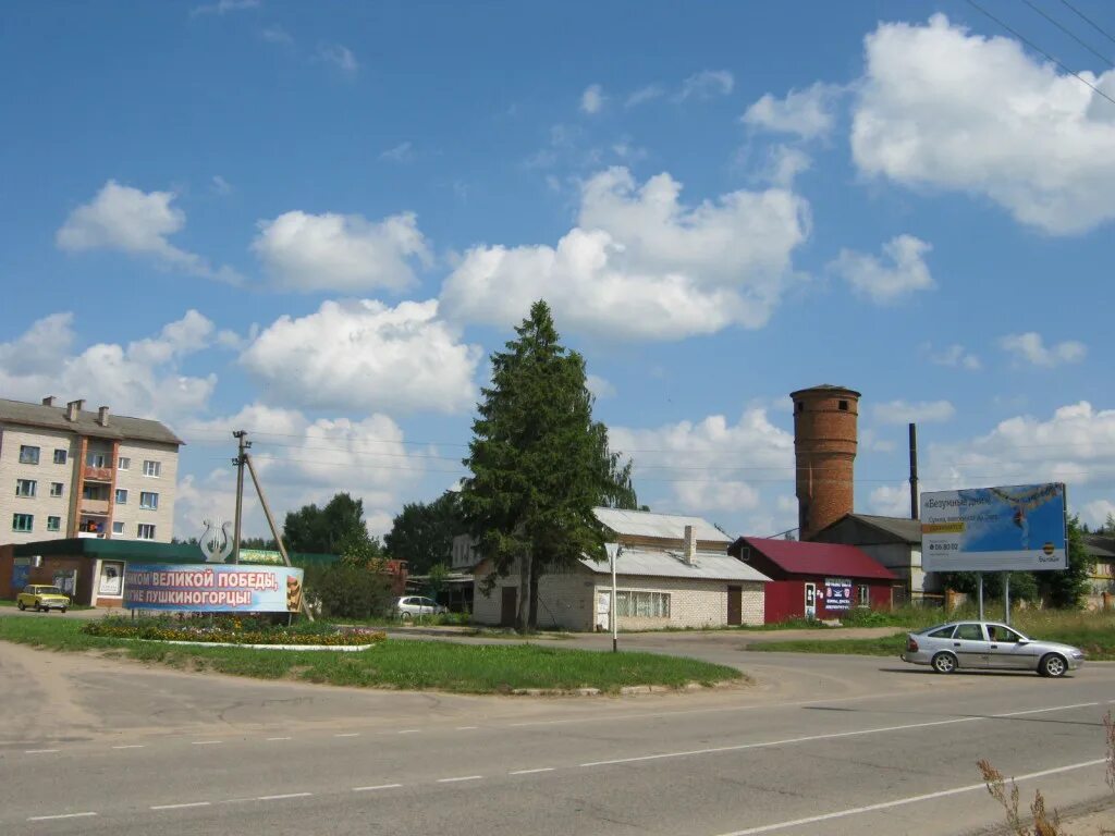 расписание автобусов великие луки локня. автобус бежаницы-спб. автобус петербург бежаницы. бежаницы спб. красногородск на карте.