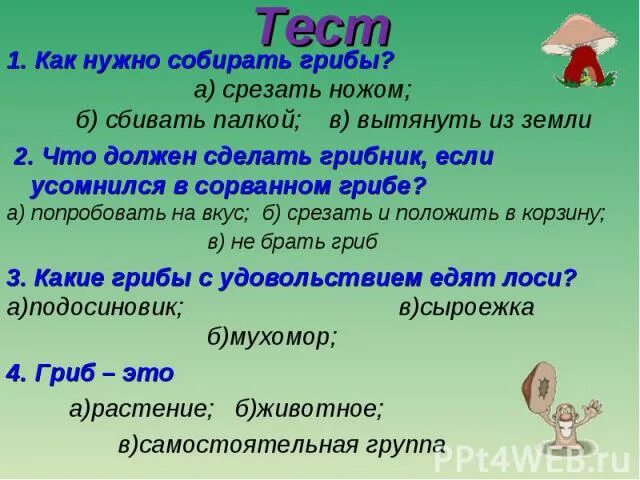 Тест грибы 5 класс биология с ответами. Тест на тему грибы. Тест по теме грибы. Проверочная работа по теме грибы. Тест по грибам с ответами.