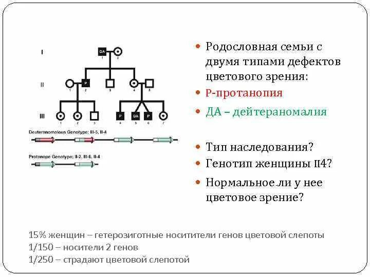 Гемералопия Тип наследования. Ночная слепота Тип наследования. Куриная слепота Тип наследования. Тип наследования куриной слепоты.