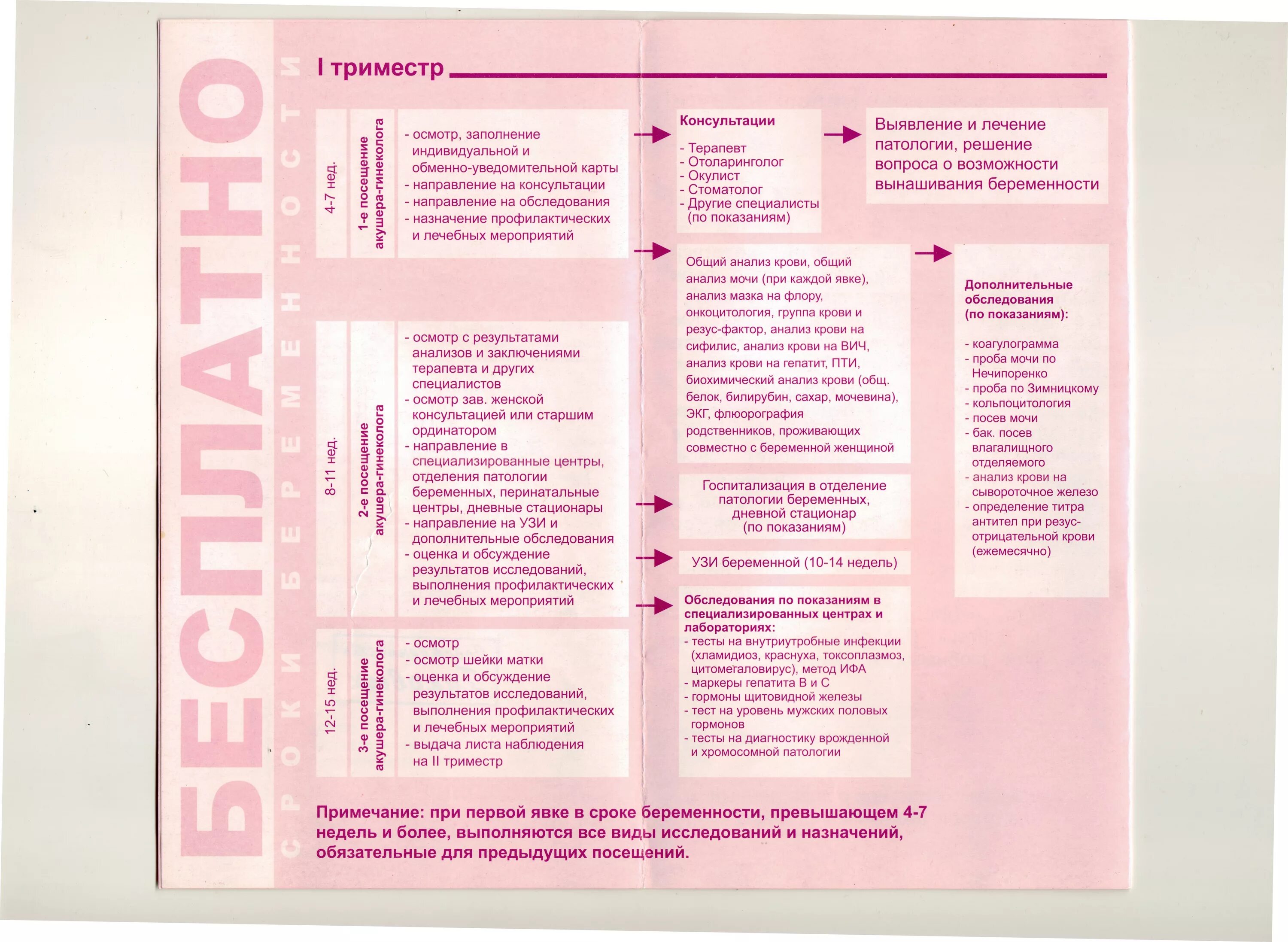 Анализы при беременности список по неделям. Обследование беременной по неделям. Обследование по триместрам. Список анализов для беременных 1 триместр.