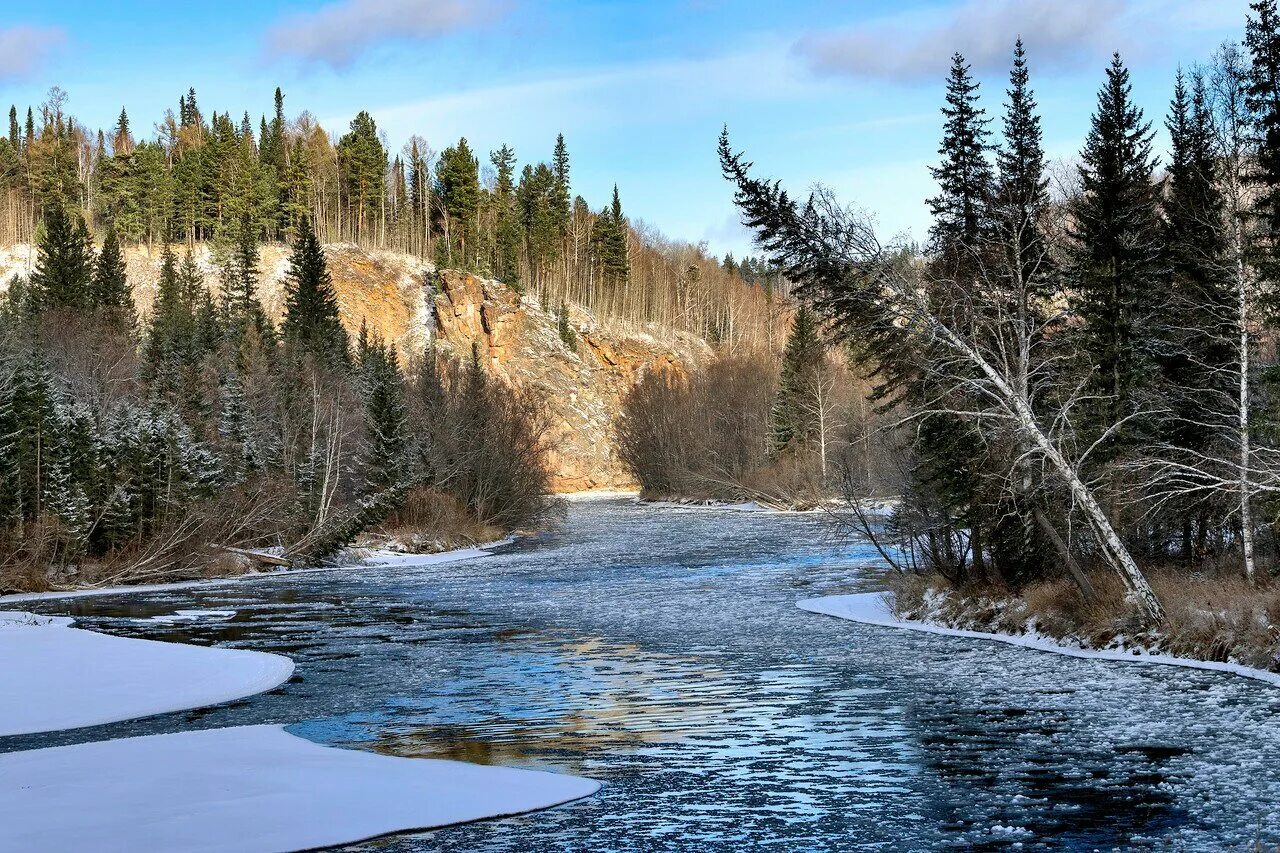 Красноярский край Тайга Енисей. Тайга река Енисей. Красноярский край природа Енисей. Река Енисей Красноярский край.