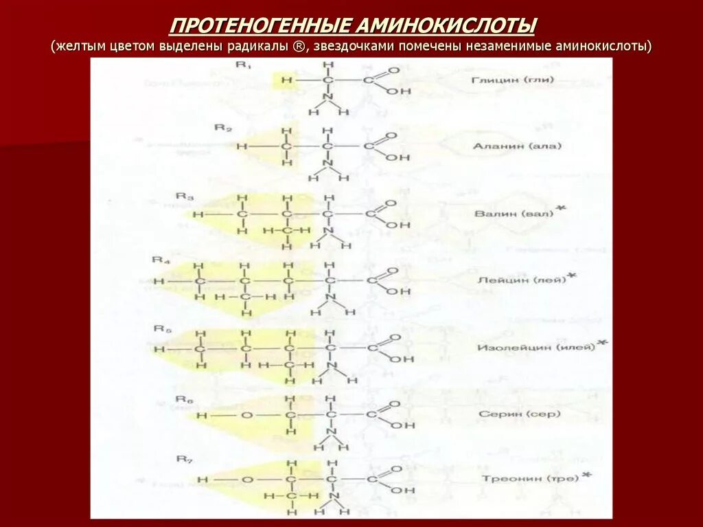 Аминокислотные радикалы