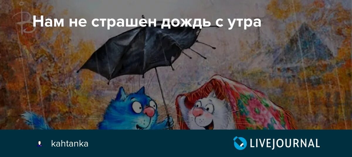 Веселые статусы в картинках про погоду. Яркого настроения в пасмурный день. С дождиком картинки прикольные с надписями. Хорошего настроения в дождливую погоду. Дождь рисунок.