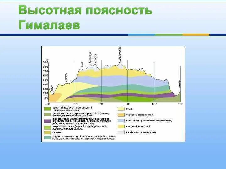 Высотная поясность алтая. Высотная поясность Гималаев схема. Схема ВЫСОТНОЙ поясности в горах. Высотная поясность климат горы Гималаи. Схема ВЫСОТНОЙ поясности Альп.