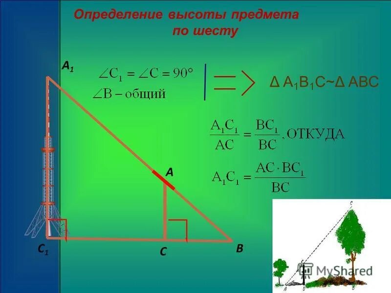 Определение высоты предмета геометрия. Измерение высоты предмета на местности. Определить высоту предмета. Задача об определении высоты предмета. Задача на нахождение высоты предмета.