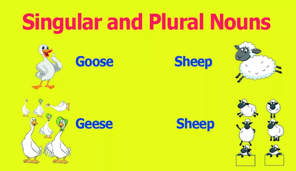 Deer множественное число. Sheep plural. Sheep in plural. Fish множественное число. Plural nouns 3 класс.