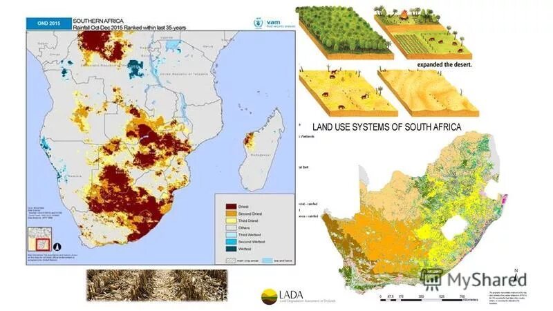 Опустынивание стран африки. Пояс сахеля. Опустынивание африки. Сахель в африке национальный парк. Равнина сахель африка.