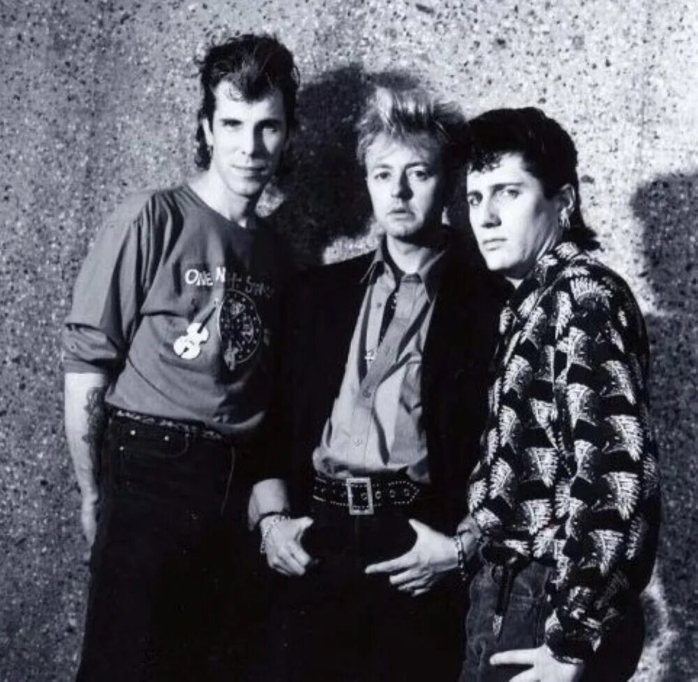 Stray cats ubangi stomp. Группа Stray Cats. СТРЕЙ кэтс группа. Stray Cats 1981.