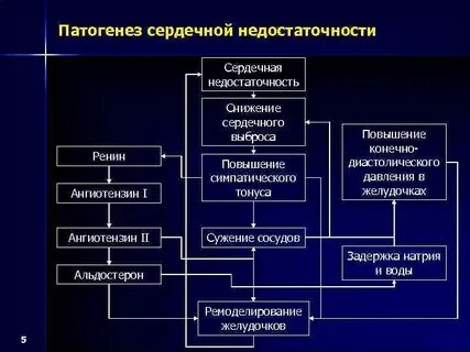 Сердечная недостаточность патогенез