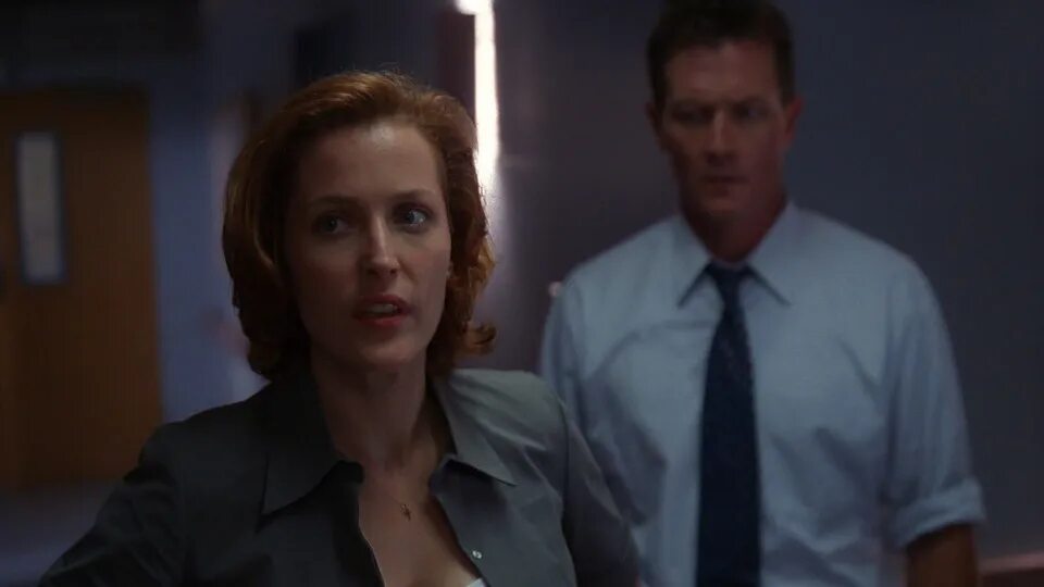 Секретные материалы 4 2. Секретные материалы Чинга. Dana Katherine Scully.