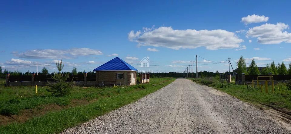 Васильково ярославль. Васильковы поля ярославль. Кп васильковые поля ярославль. Васильковые поля ярославль. Село васильково.