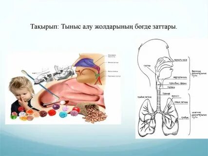 атақты жалаңаш порно