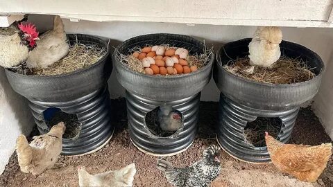 Гнездо для кур из покрышек своими руками