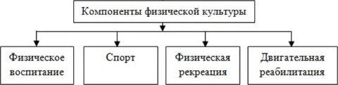 Компоненты физической культуры московской школы