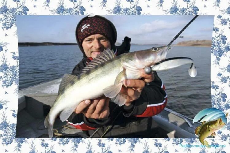 Ловля в отвес с лодки. Ловля судака на тюльку с лодки. Снасть на судака в отвес с лодки. Рыбалка в отвес с лодки на судака. Ловля судака в отвес с лодки на тюльку.