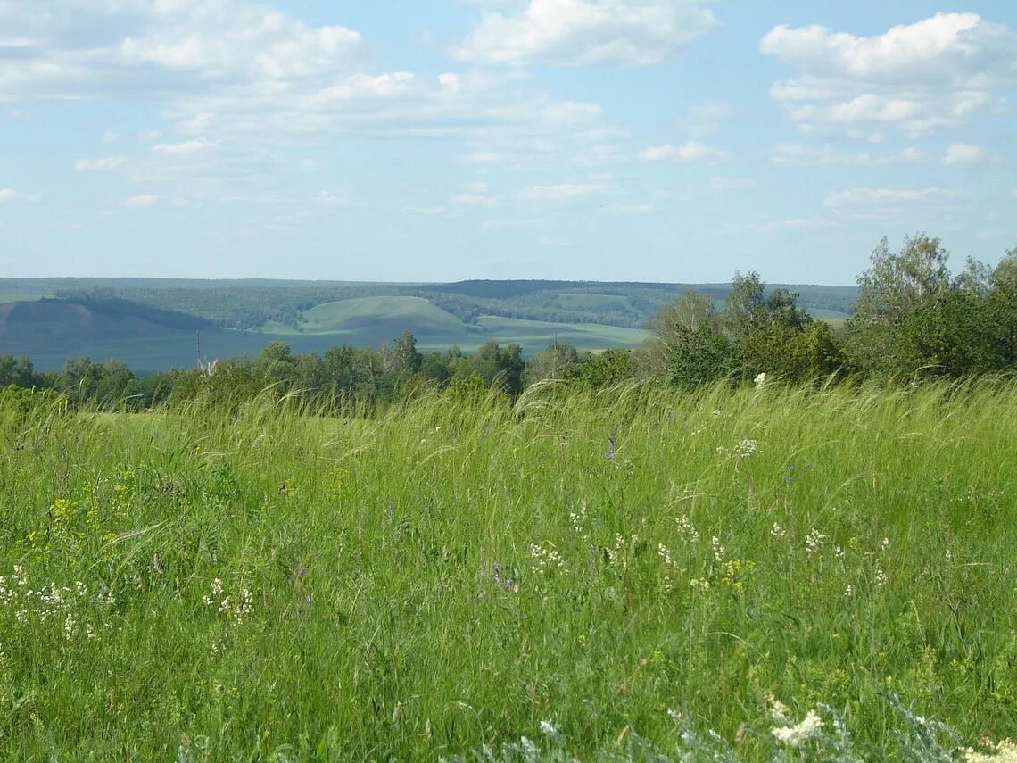 Погода кутуй. Озеро кандрыкуль башкирия. Кутуй интересные факты. 20. Кандры кутуй деревня.