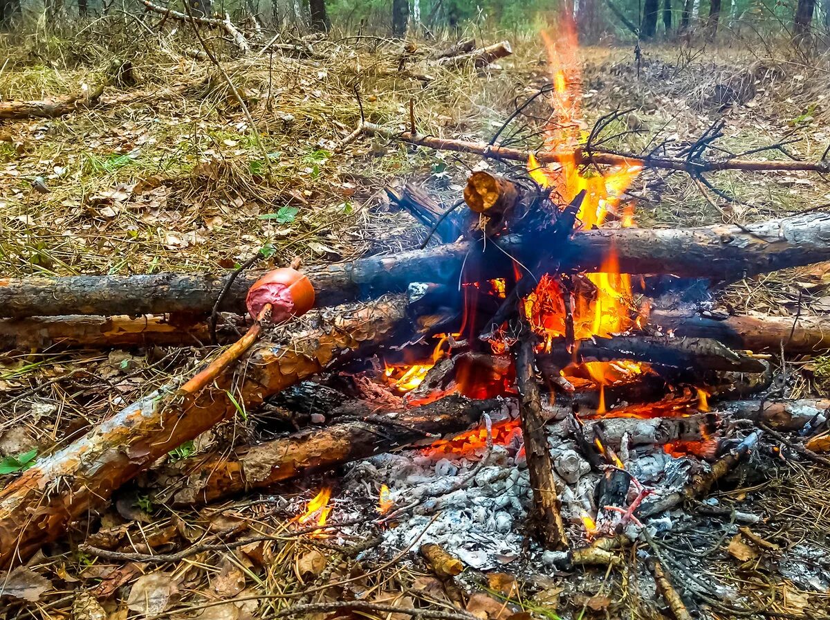 Лесные пожары костер. Пожар от костра. Костер в лесу пожар. Непотушенный костер.