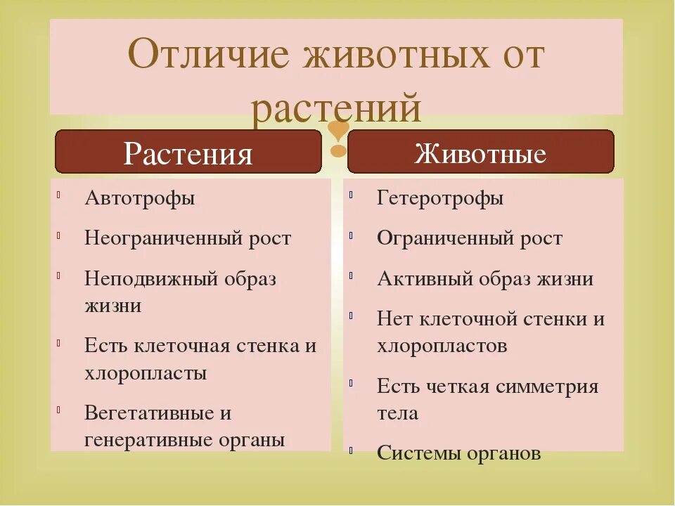 3 отличия животных от растений