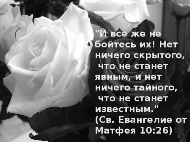 Тайна всегда становится явным пословица. Все тайное становится ясным. всё тайноестановитсяявным. всё тайное становится явным. тайное всегда становится явным цитаты.