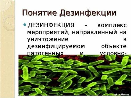 Понятие дезинфекция