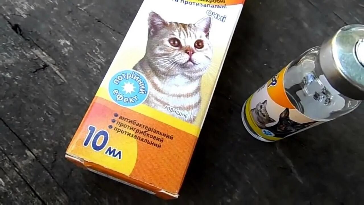 Как лечить простуду у кота