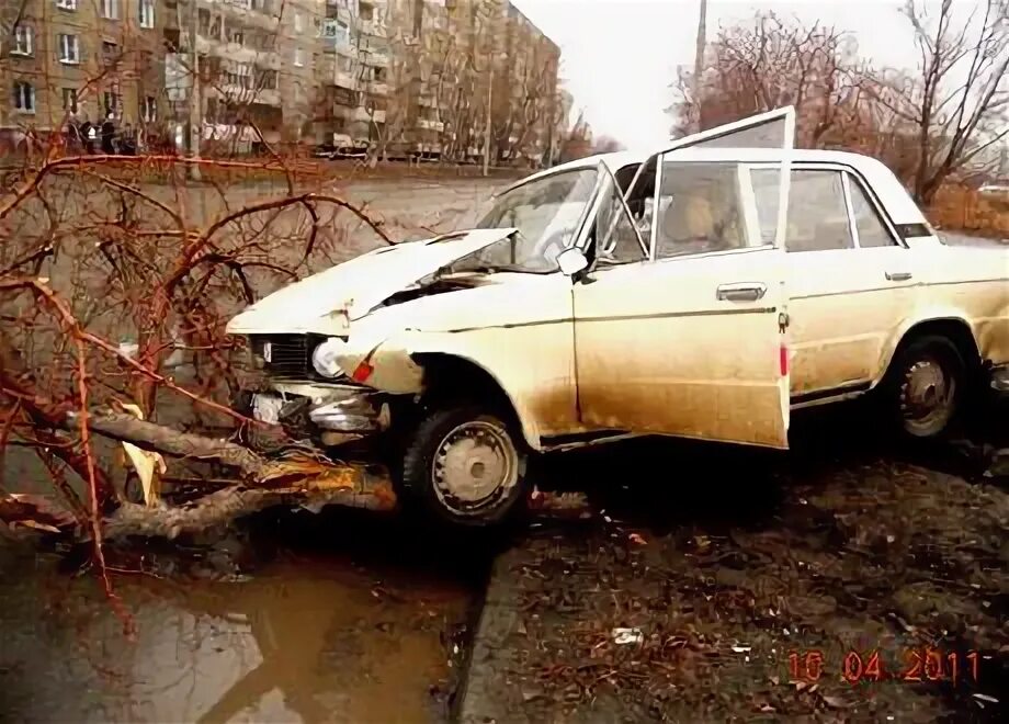 Наезд на дерево. Наезд на дерево