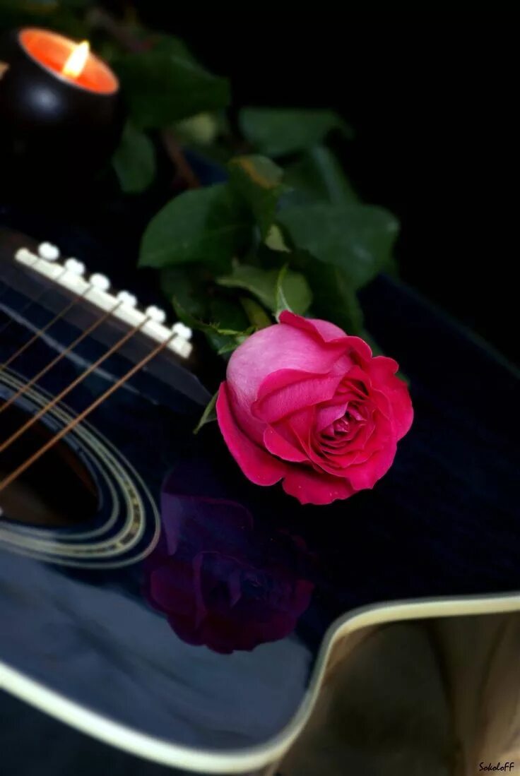 Будьте добры музыка. Цветы для музыканта. Электрогитара и цветы. Электрогитара с цветами.