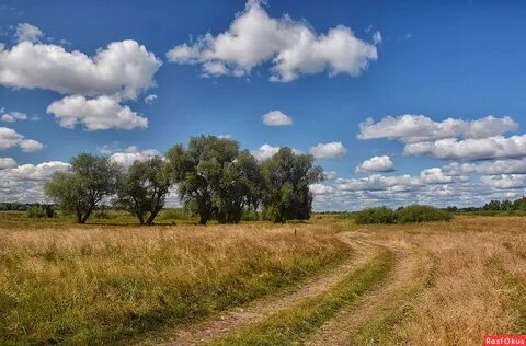 Песни по проселочной дороге