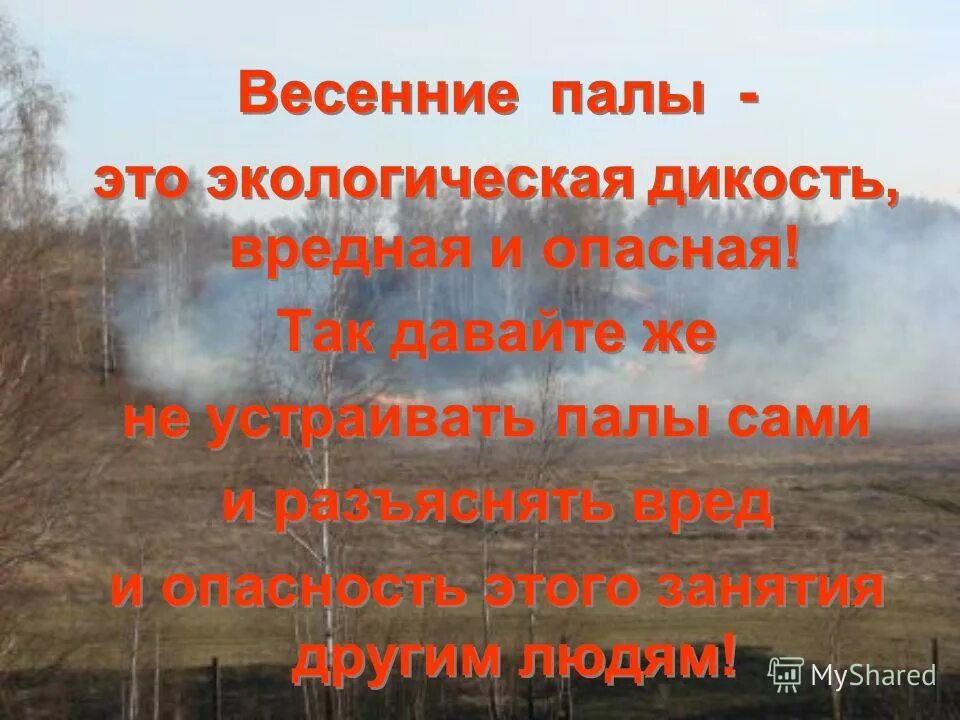 Акции пал пал. Памятка о поджоге сухой травы. пал травы памятка. памятка не жгите сухую траву. памятка весенние палы.