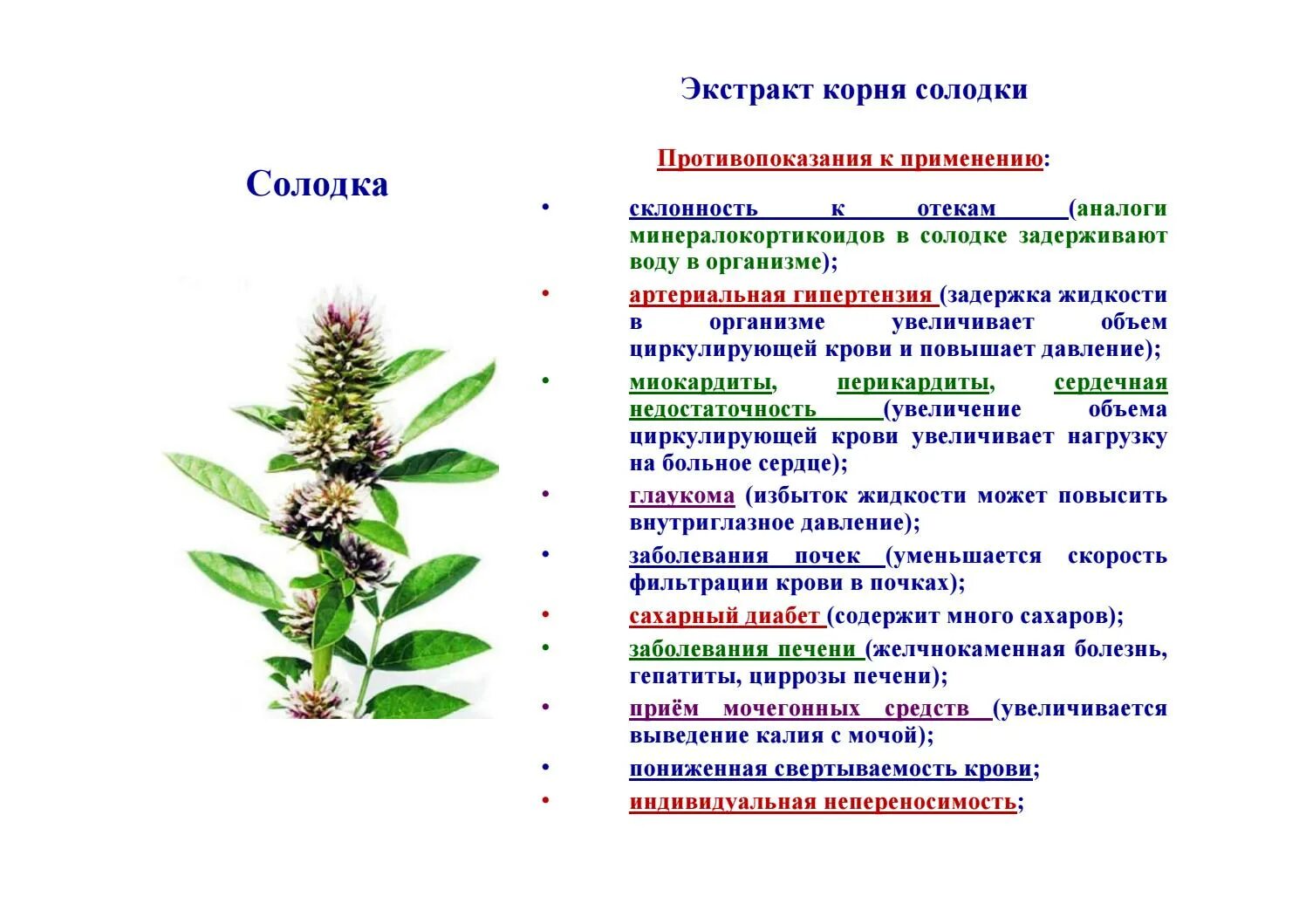 Солодка в народной медицине. Солодка лекарственное растение. Лекарственные травы корень солодки. Солодка противопоказания.