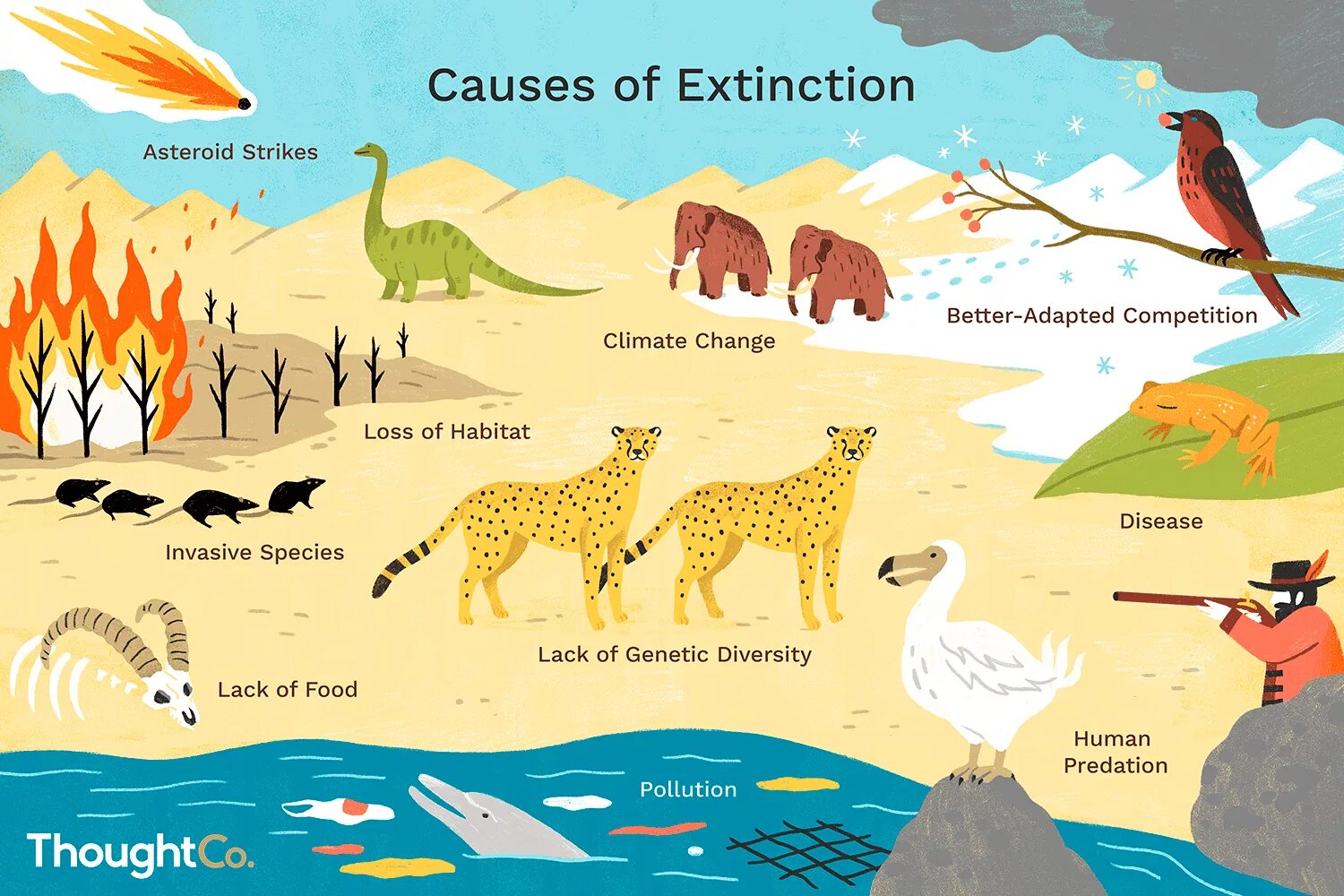 Исчезновение животных и растений. Массовое вымирание животных. Вымирание животных и растений.