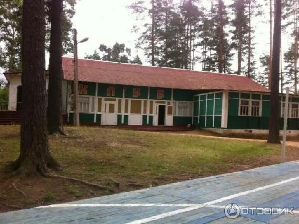 Лагерь чайка ленинградская область. Лагерь "чайка" в лужесно. Лагерь чайка светлогорск. Лагерь чайка кемеровская область. Летний лагерь чайка липецк.