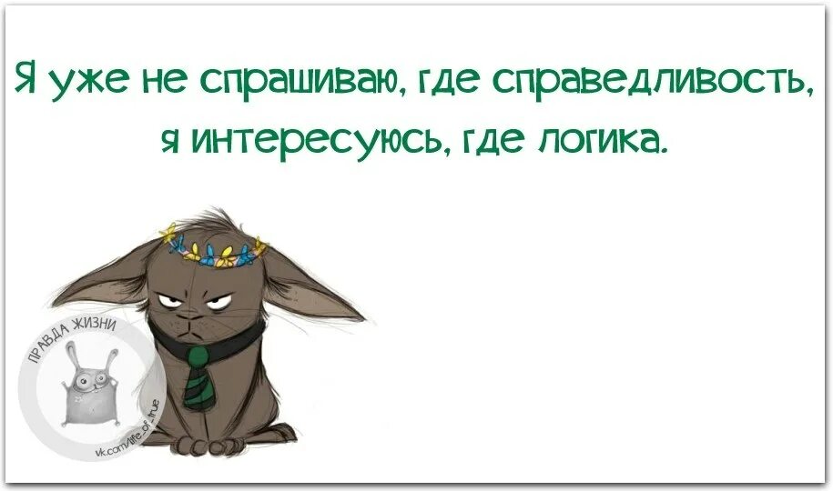 Исторические мемы про петра 1. Где куда когда откуда. Обстоятельство отвечает на вопросы. Безработный прикол. Котик спрашивает.