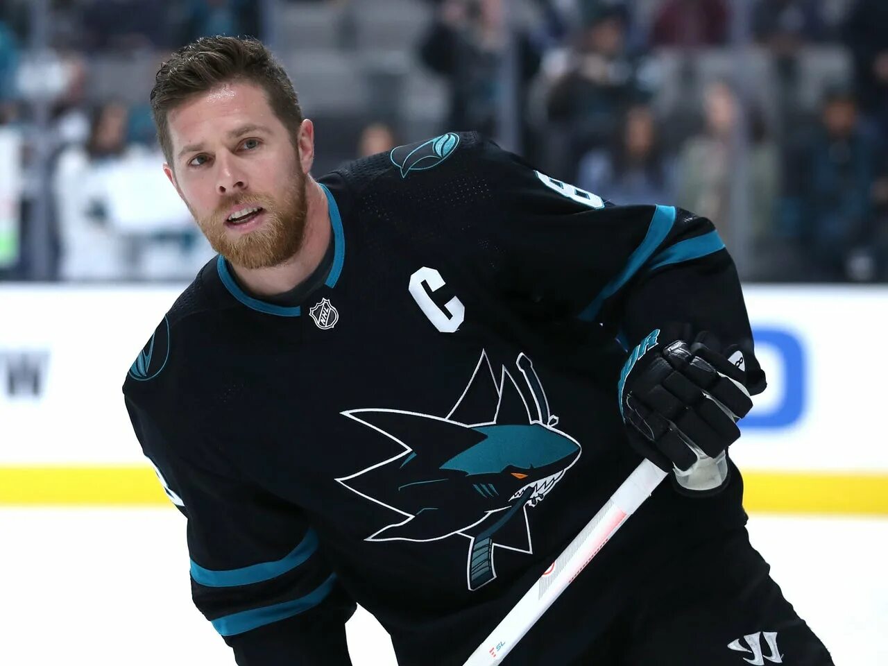 Joe pavelski nhl. Сан хосе шаркс. Джо павелски 2015. Джо павелски 2003. Джо павелски динамо минск.