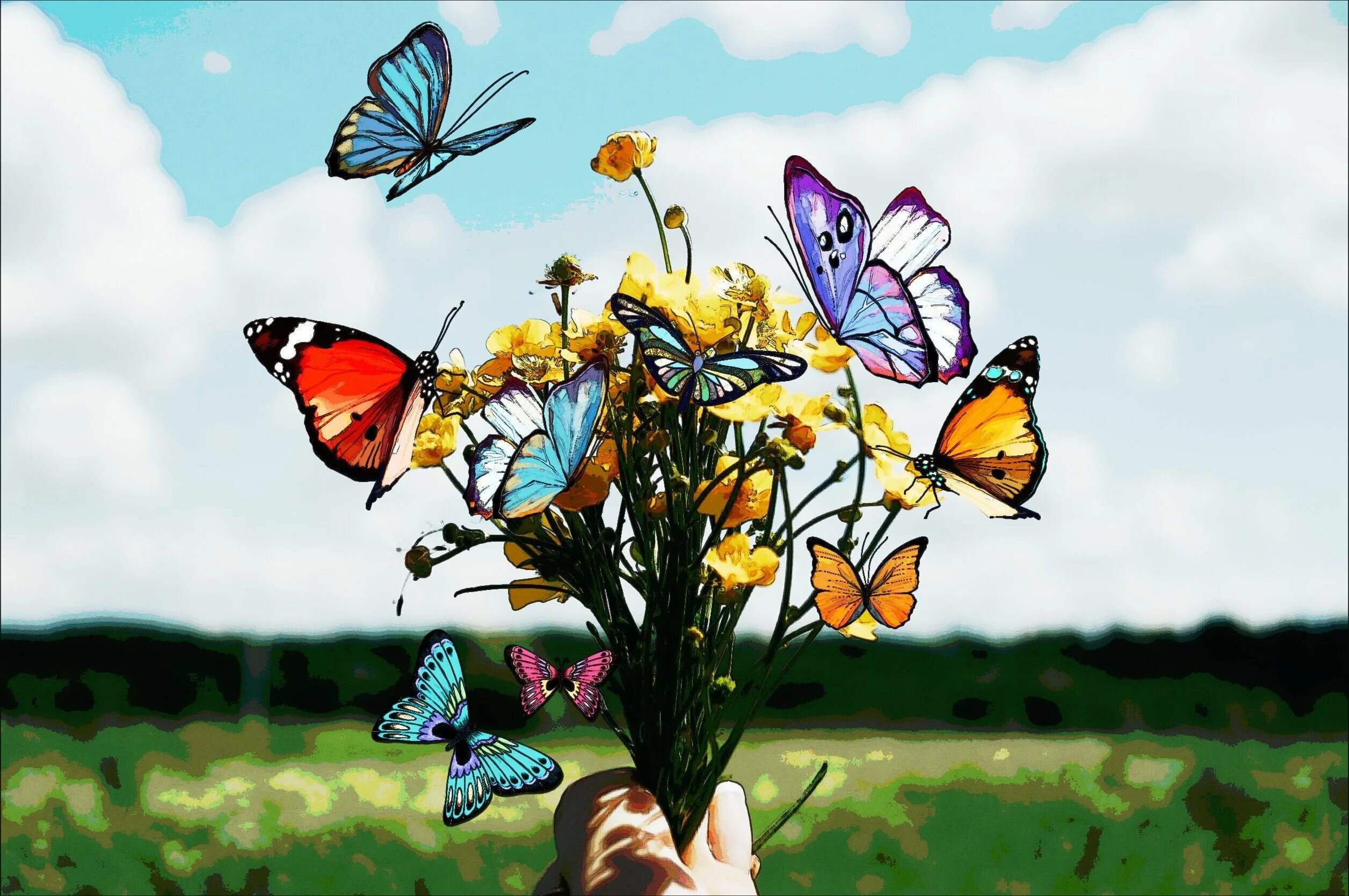 Бабочки радость. Бабочки над цветами. Бабочка на цветке. Бабочки на цветах в природе. Бабочка над головой