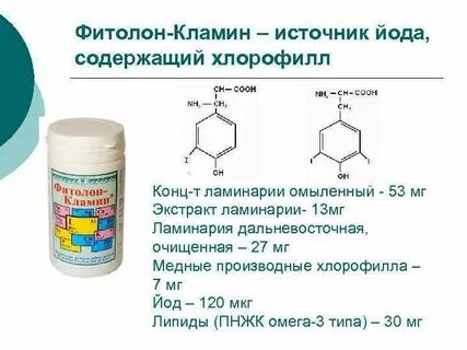 Содержат хлорофилл