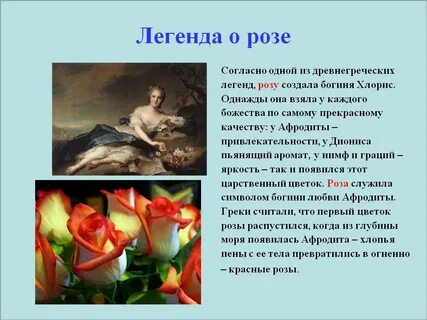 Сказка про розу