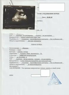 Заключение узи почек