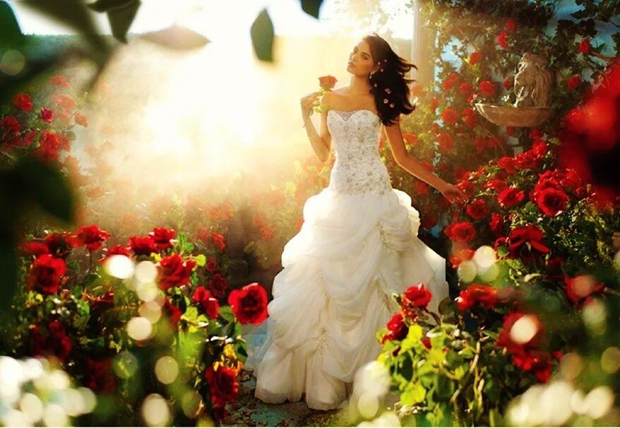 Три красных розы стихи. Пройдемте в сад я покажу вас розам. Лариса кузьминская биография. Пройдемте в сад я покажу вас розам. Пройдемте в сад я покажу вас розам.