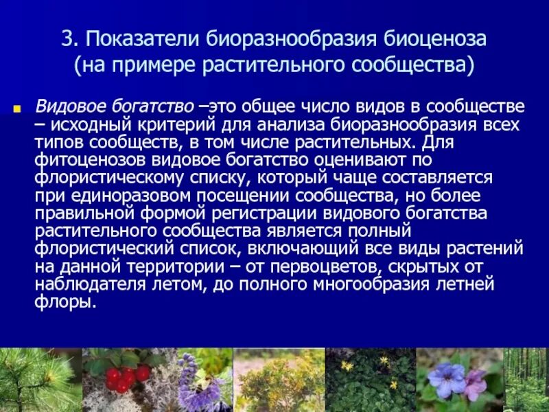 Видовое разнообразие примеры. Видовое биоразнообразие растений биоценоза. Видовое богатство растительных сообществ. Видовое богатство биоценоза. Видовое разнообразие растительных сообществ.