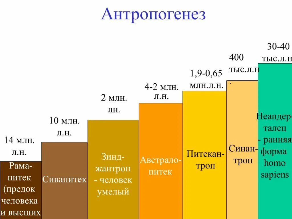 Проблема антропогенеза. Проблема антропогенеза в философии. проблематика антропогенеза. основные проблемы антропогенеза кратко.