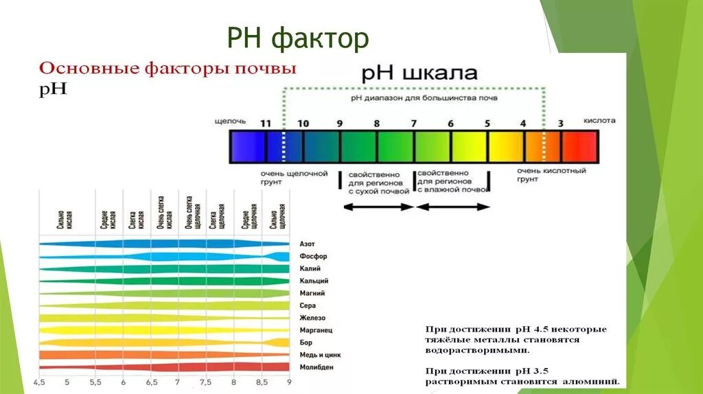 Шкала PH почвы кислотности почвы. РН таблица кислотности. РН шкала кислотности и щелочности. Шкала уровня кислотности РН.