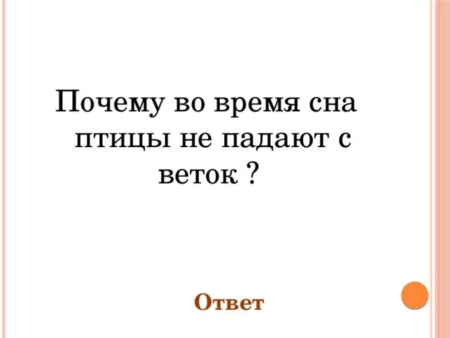 Почему птицы не падают с ветки во время сна. Почему птицы не падают с веток. Повемуптицы не падают во время сна.